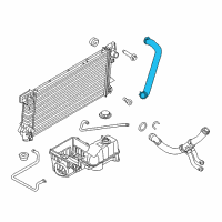 OEM 2013 Ford F-150 Upper Hose Diagram - BL3Z-8260-A