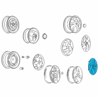 OEM 2002 Pontiac Sunfire Wheel Cover Diagram - 9593365