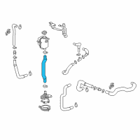 OEM 2021 Chevrolet Bolt EV Lower Hose Diagram - 42555271