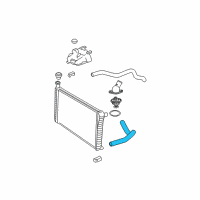 OEM 2004 Chevrolet Express 1500 Hose Assembly Assembly-Radiator Outlet Diagram - 25757839