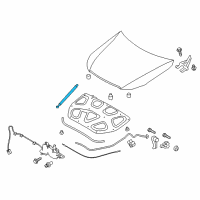 OEM 2015 Kia K900 LIFTER-Hood LH Diagram - 811613T000