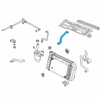 OEM Pontiac Firebird Radiator Outlet Hose (Lower) Diagram - 10256244