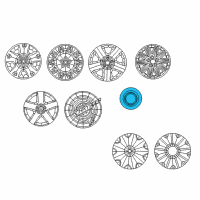 OEM 2019 Dodge Charger Wheel Center Cap Diagram - 4895432AA