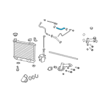 OEM 2013 Chevrolet Caprice Upper Hose Diagram - 92252959