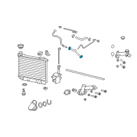 OEM 2012 Chevrolet Caprice Lower Hose Clamp Diagram - 90572596