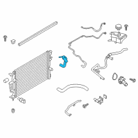 OEM 2014 Ford Fusion Lower Hose Diagram - DG9Z-8286-D