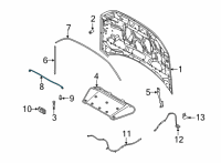 OEM 2022 Ford Bronco Sport STAY - HOOD Diagram - M1PZ-16826-A