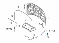 OEM 2021 Ford Bronco Sport CABLE ASY - HOOD CONTROL Diagram - LJ6Z-16916-B