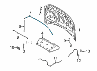 OEM 2022 Ford Bronco Sport WEATHERSTRIP Diagram - M1PZ-16B990-A