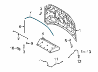 OEM Ford Bronco Sport WEATHERSTRIP Diagram - M1PZ-16B990-A