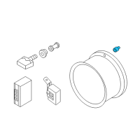 OEM 2016 Chevrolet City Express TPMS Sensor Nut Diagram - 19316556