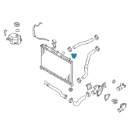 OEM 2006 Kia Rio Bracket Assembly-Radiator Diagram - 253331G000