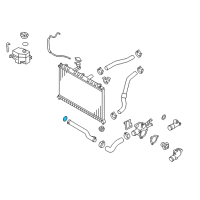 OEM Kia Sportage Ring"O" Diagram - 2546223000