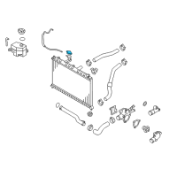 OEM 2008 Kia Rio5 Cap Assembly-Radiator Diagram - 253301G010