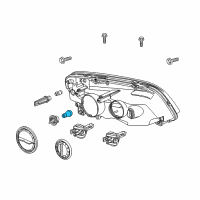 OEM 2013 Chevrolet Caprice Signal Lamp Bulb Diagram - 13500806