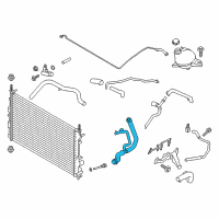 OEM 2017 Ford Transit-250 Lower Hose Diagram - CK4Z-8286-F