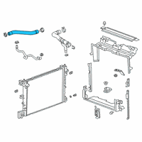 OEM 2020 Cadillac CT6 Lower Hose Diagram - 84065780