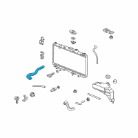 OEM 2005 Acura RSX Hose, Water (Upper) Diagram - 19501-PND-000