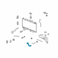 OEM Acura Hose, Water (Lower) Diagram - 19502-PND-000