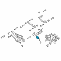 OEM 2016 Hyundai Sonata Bush-Rear Trailing Arm, RH Diagram - 55290-C2200