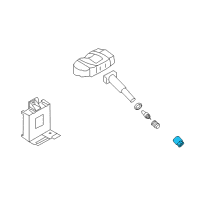 OEM Hyundai Genesis Nut-TPMS Diagram - 52934-A5000