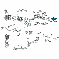 OEM 2015 Chevrolet Cruze Valve Asm-EGR Diagram - 55566052