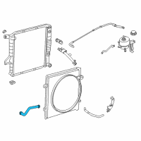 OEM 2002 Ford Ranger Lower Hose Diagram - 1L5Z-8286-AD