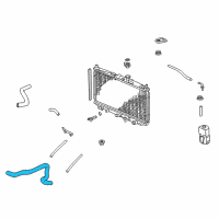 OEM Hose, Water (Lower) Diagram - 19502-PAA-A00