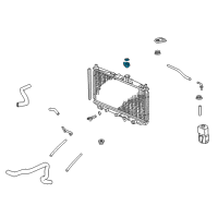 OEM 2004 Honda Accord Cap, Radiator Diagram - 19045-RAA-A51