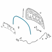 OEM 2021 Lincoln Corsair WEATHERSTRIP Diagram - LJ7Z-16B990-B