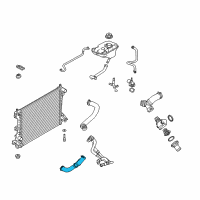 OEM 2012 Ford Mustang Lower Hose Diagram - CR3Z-8286-C