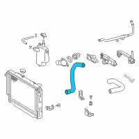 OEM 2000 Lexus LX470 Hose, Radiator, NO.2 Diagram - 16572-50150