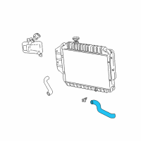 OEM 1996 Ford E-350 Econoline Club Wagon Lower Hose Diagram - F2UZ8286B
