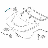 OEM 2021 Kia Soul Lifter-Hood Diagram - 81161K0000