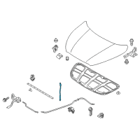 OEM Hyundai Elantra Coupe Rod Assembly-Hood Stay Diagram - 81170-30000