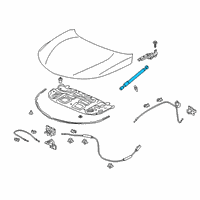 OEM 2021 Acura RDX OPEN STAY L, HOOD Diagram - 74195-TJB-A01