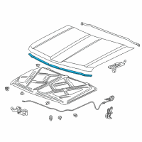 OEM 2015 Chevrolet Silverado 1500 Front Weatherstrip Diagram - 23163659