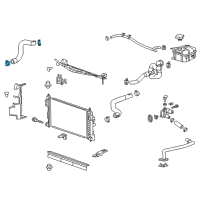 OEM Chevrolet Impala Upper Hose Clamp Diagram - 11516232