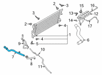 OEM 2019 Ford F-150 Lower Hose Diagram - JL3Z-8286-D