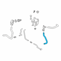 OEM 2020 Toyota Corolla Lower Hose Diagram - 16573-0T150