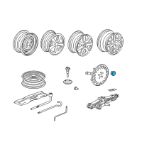 OEM 2004 Honda Accord Cap, Center (16") Diagram - 08W40-S82-100G