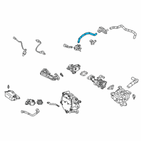 OEM 2021 Lexus UX200 Hose, Fuel Vapor Fee Diagram - 23826-F2030