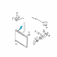 OEM Kia Hose-Radiator Upper Diagram - 254114D900