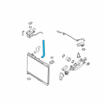 OEM 2010 Kia Sedona Hose-Radiator Lower Diagram - 254124D900