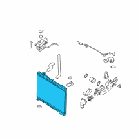 OEM 2008 Kia Sedona Radiator Assembly Diagram - 253104D902