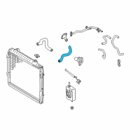 OEM 1998 Toyota 4Runner Lower Hose Diagram - 16572-75090