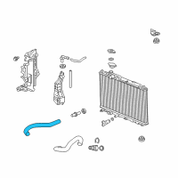 OEM Acura ILX Hose, Water (Upper) Diagram - 19501-RX0-A01