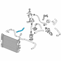 OEM 2014 Chevrolet Spark EV Lower Hose Diagram - 95281207