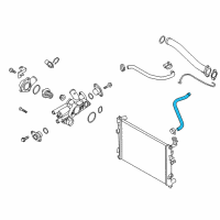 OEM 2011 Kia Forte Koup Hose-Radiator Lower Diagram - 254121M100