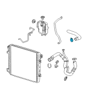 OEM GMC Sierra 2500 HD Upper Hose Clamp Diagram - 19354854